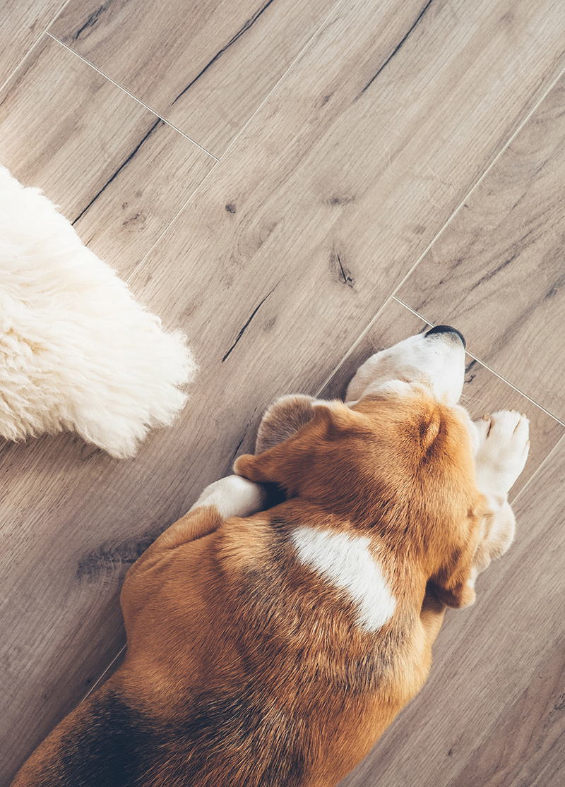 Electric Radiant Heat Flooring Barrie and Muskoka